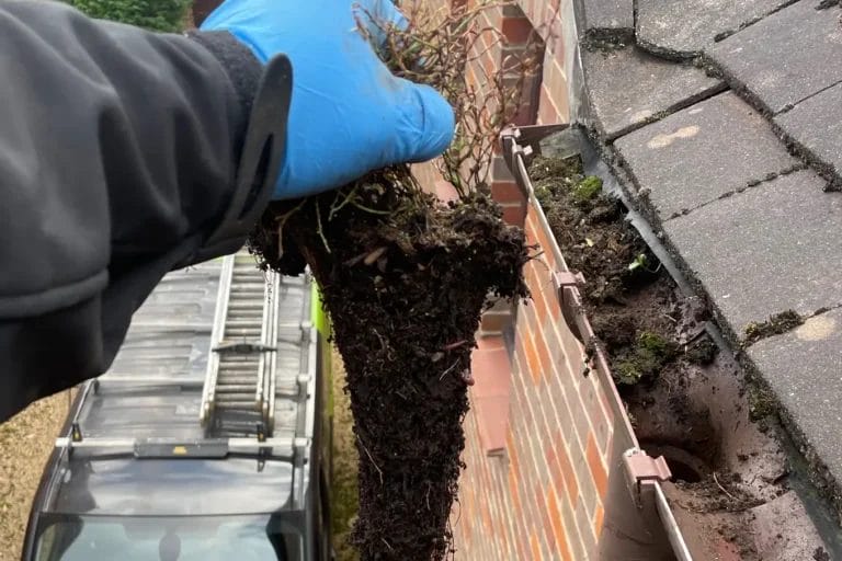PP Gutters residential gutter cleaning services. Showing a residential property's drain downpipe being cleared of debris.