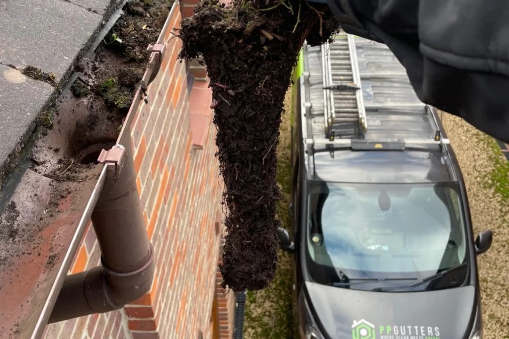 PP Gutters residential gutter cleaning services. Showing a residential property's drain downpipe being cleared of debris.