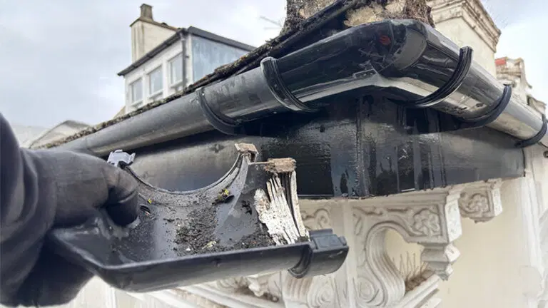 pp-gutters-residential-gutter-maintenance-077