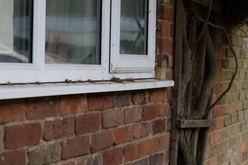 PP Gutters residential and commercial roof and gutter cleaning services. Before softwashing a residential uPVC window.