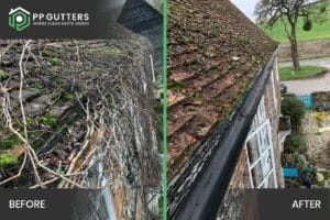 PP Gutters residential roof and gutter cleaning services. Before and after showing a residential property's gutters and roof cleared of severe overgrowth.