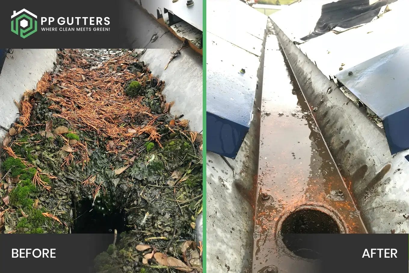 PP Gutters commercial roof and gutter cleaning services. Before and after of commercial gutter clean.