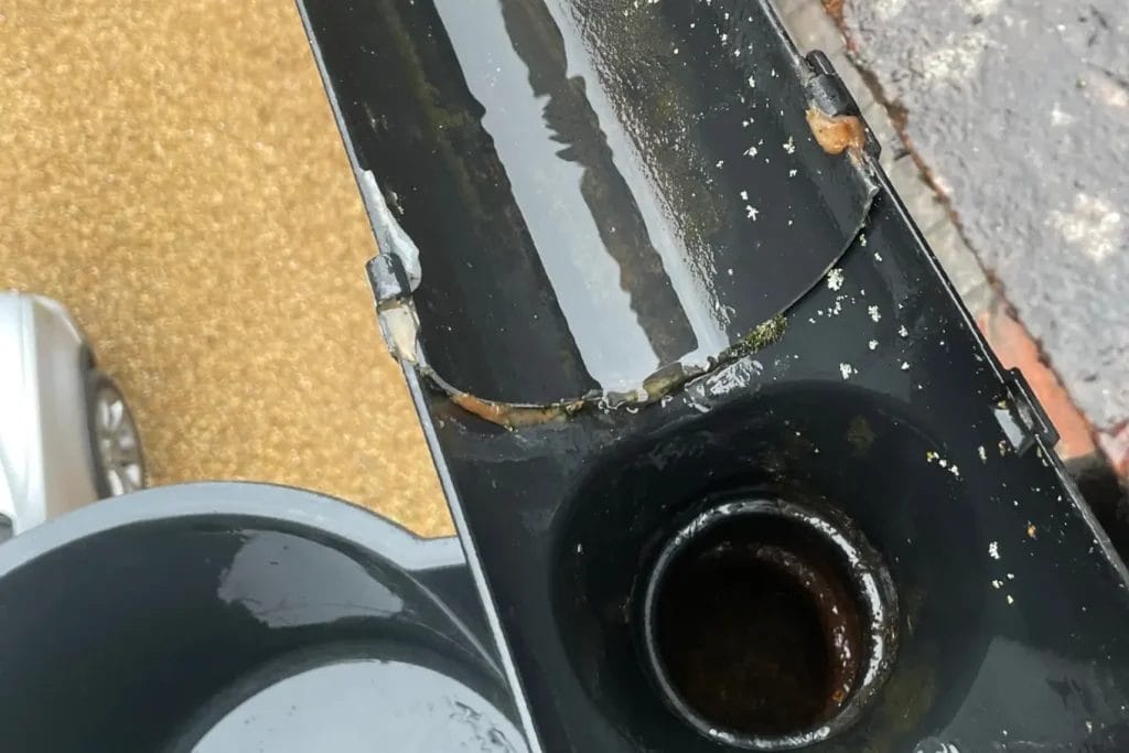 PP Gutters residential gutter cleaning services. Showing a residential property's gutter and downpipe cleared of blockages.