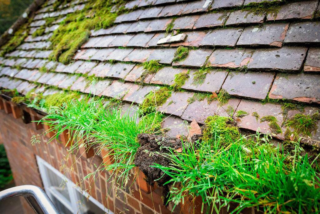 Gutter Cleaning in Watford