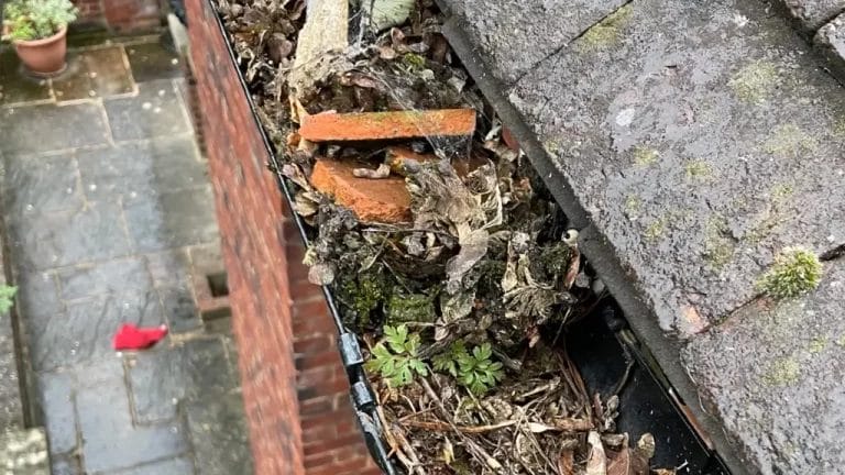 Gutter Cleaning in AylesburyGutter Cleaning in Aylesbury
