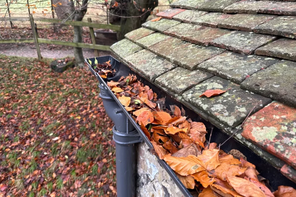 Commercial gutter cleaning in London, Watford and High Wycombe - photo of a gutter before it's been cleared of leaves by PP Gutters.