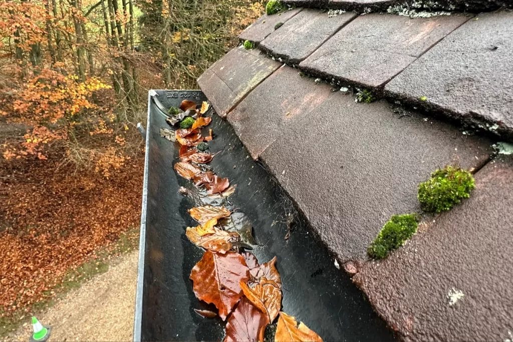 Commercial gutter cleaning in London, Watford and High Wycombe - photo of before the gutter's been cleared of leaves by PP Gutters.