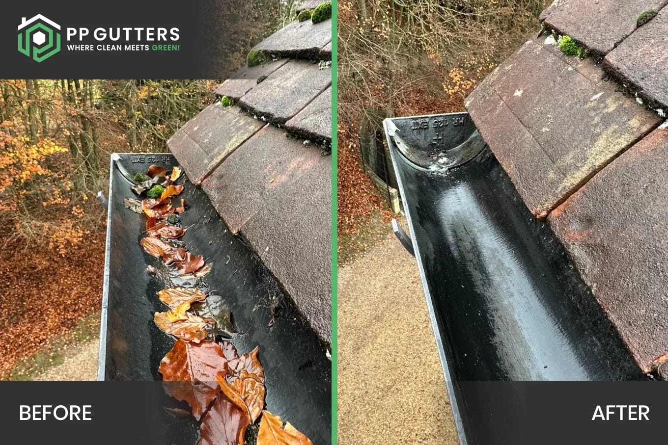 Commercial gutter cleaning in London, Watford and High Wycombe - photo of before and after the gutter's been cleared of leaves by PP Gutters.