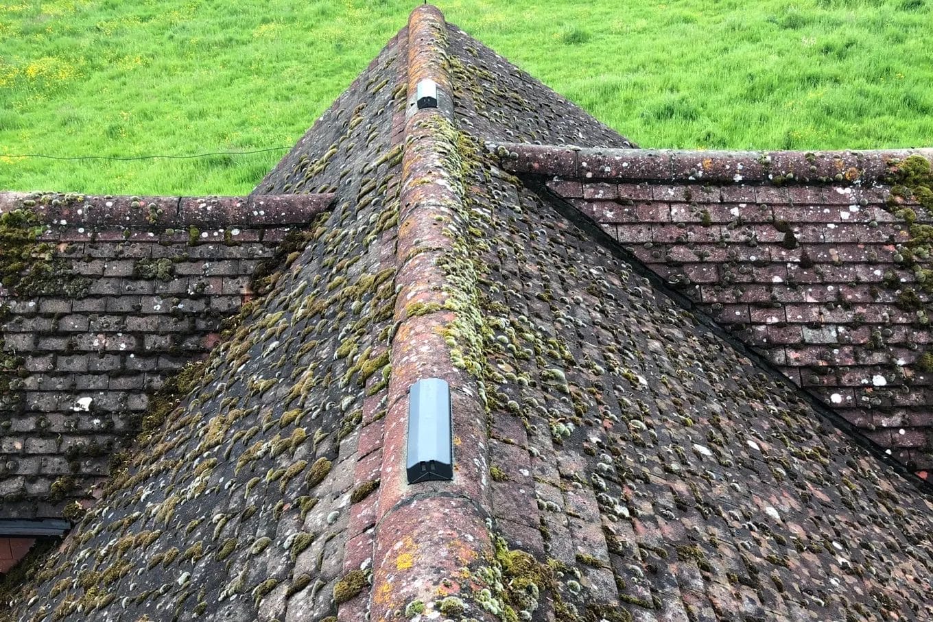 Commercial roof cleaning in London, Watford and High Wycombe - photo of a roof covered in moss before it's been cleaned by PP Gutters.