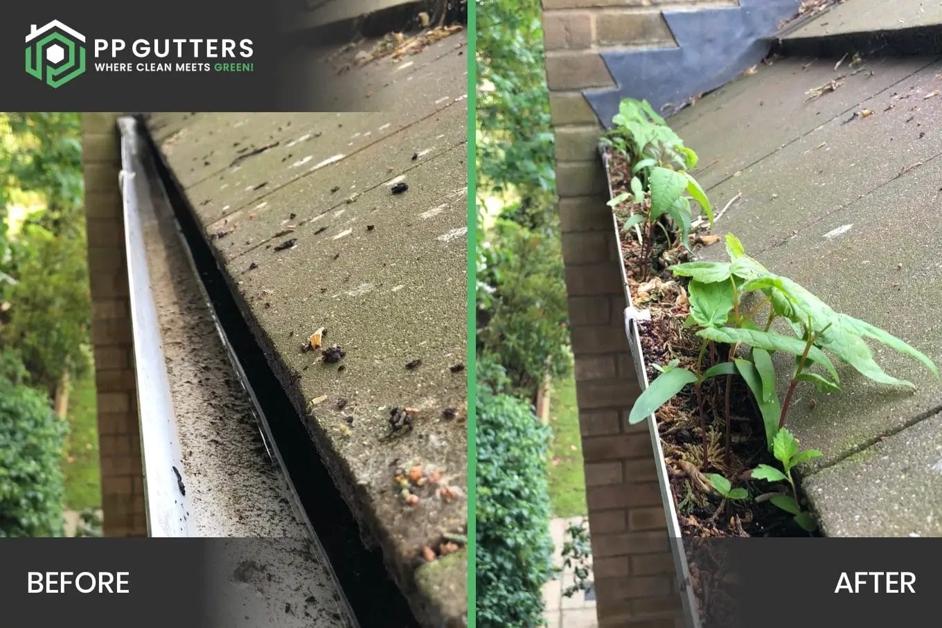 Before and after carrying out a residential gutter cleaning by PP Gutters Ltd.