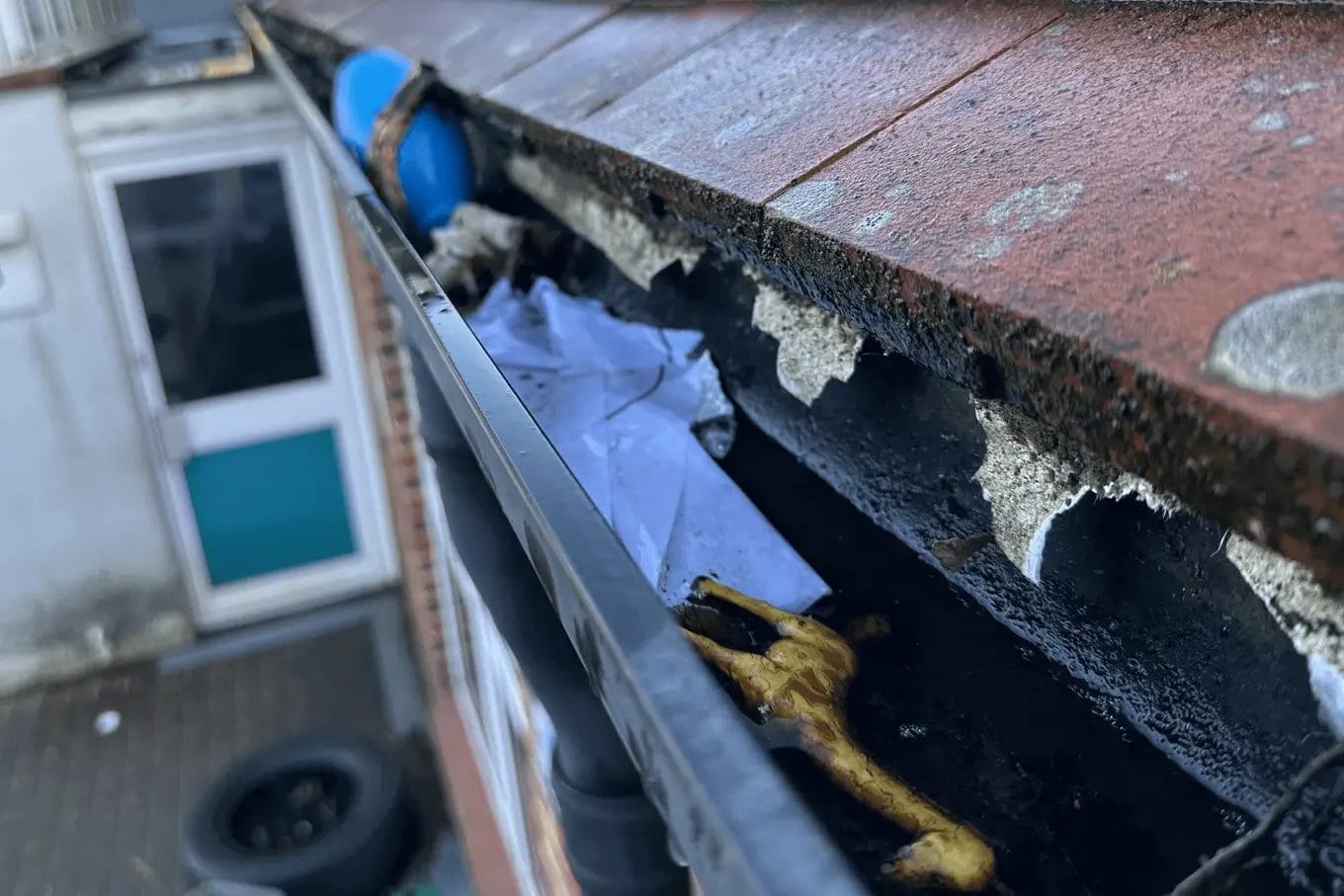 School gutter cleaning in London, Watford and High Wycombe - photo of a gutter at St Mary's CofE School in Aylesbury, before it's been cleared of various debris by PP Gutters.