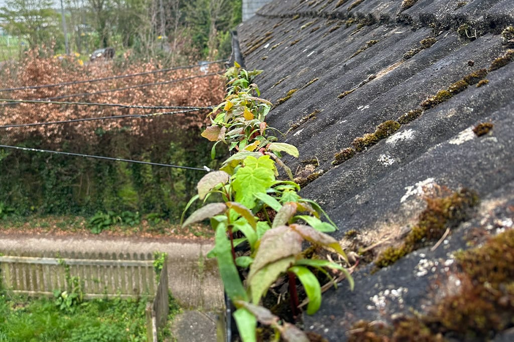 Gutter Cleaning in Chinnor
