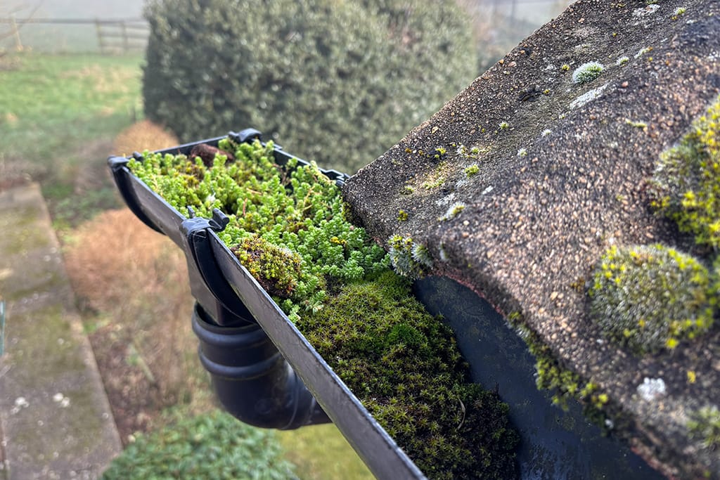 Gutter Cleaning in Long Crendon