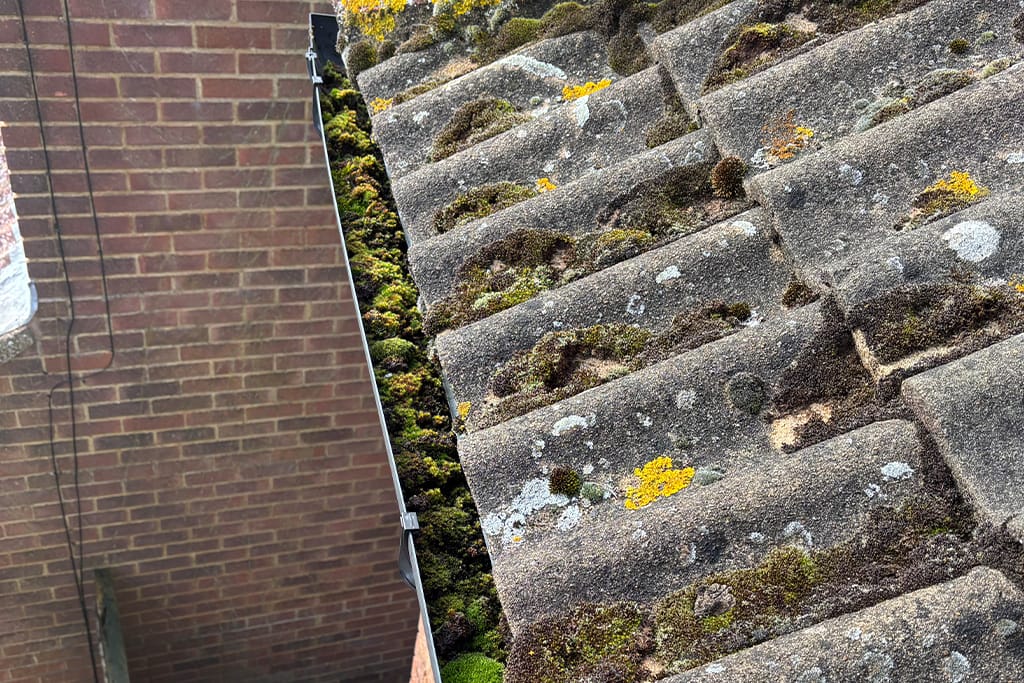 Gutter Cleaning in Great Barrington