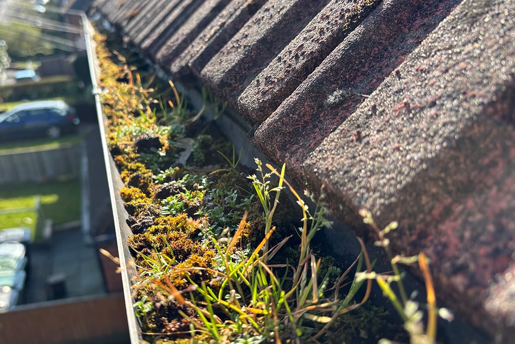 Gutter Cleaning in Hartford