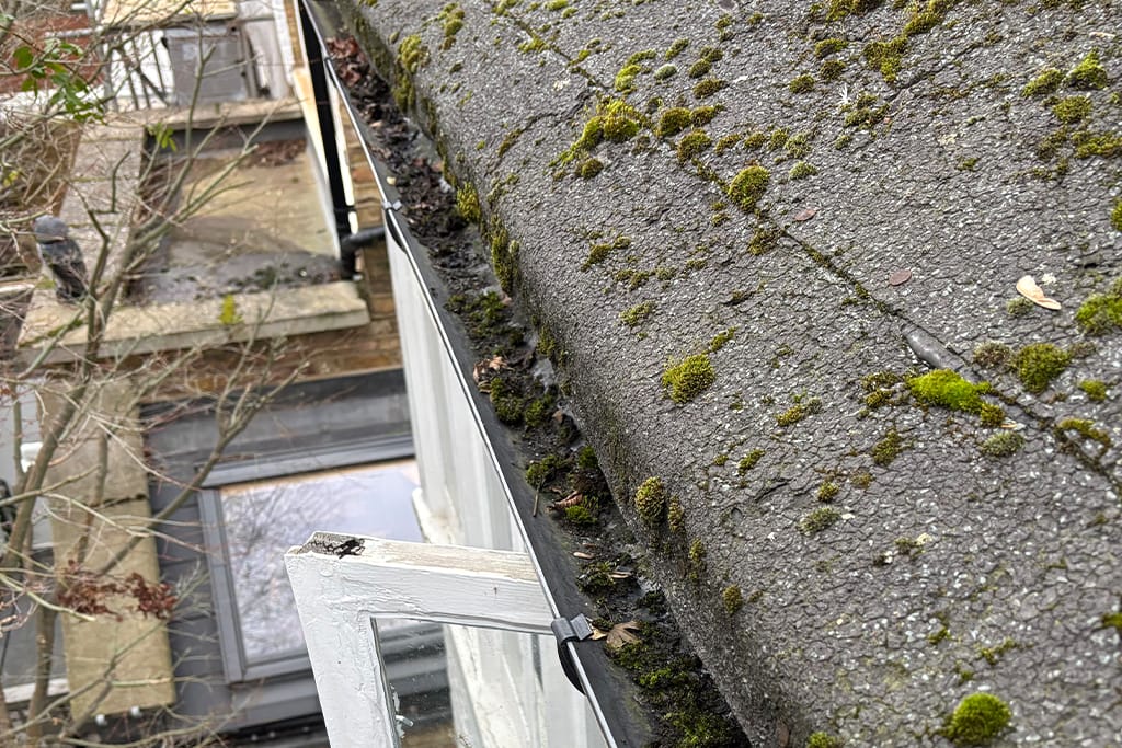 Gutter Cleaning in Lanesborough