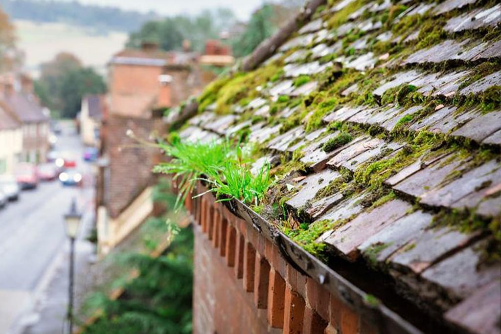 Gutter Cleaning in Lee