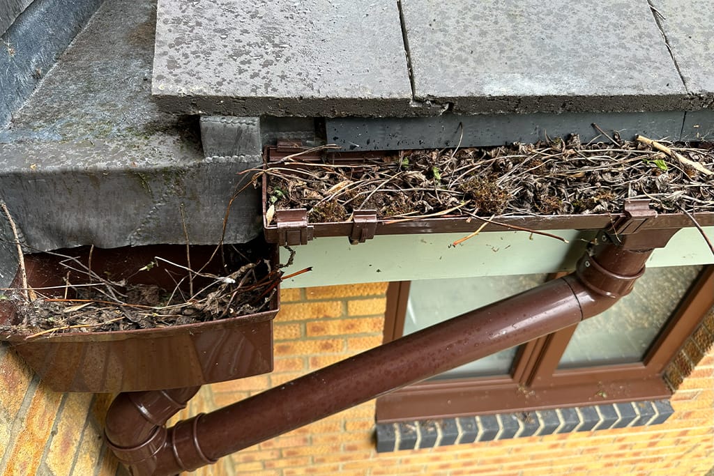 Gutter Cleaning in Speen