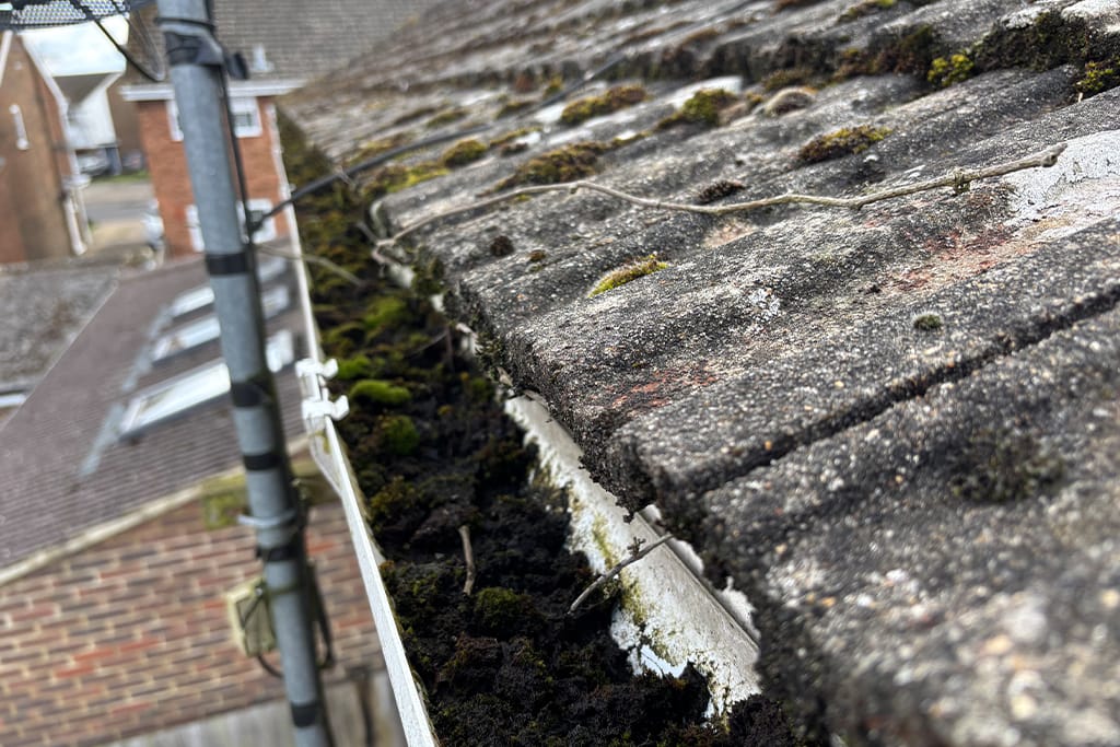 Gutter Cleaning in Acton