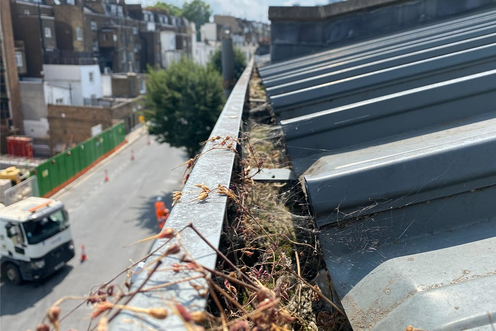 Gutter Cleaning in City of London