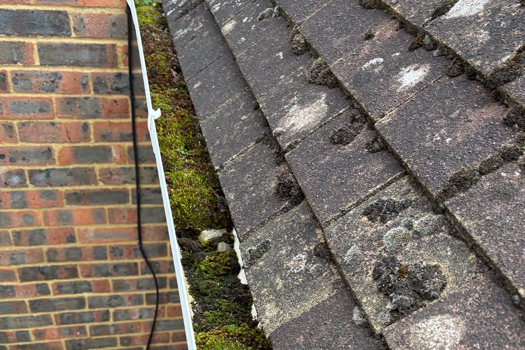 Gutter Cleaning in Edgeware
