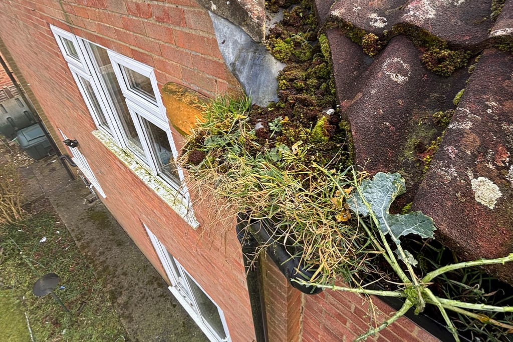 Gutter Cleaning in Kingston upon Thames