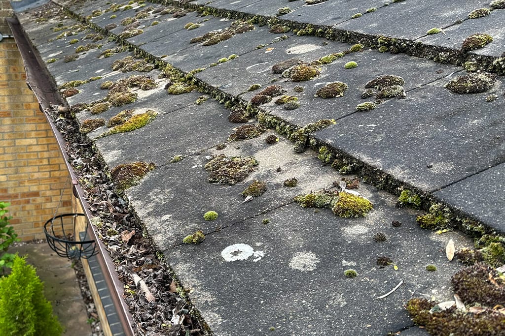 Gutter Cleaning in Marylebone