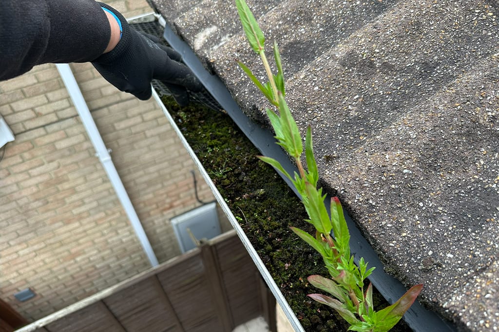 Gutter Cleaning in Putney