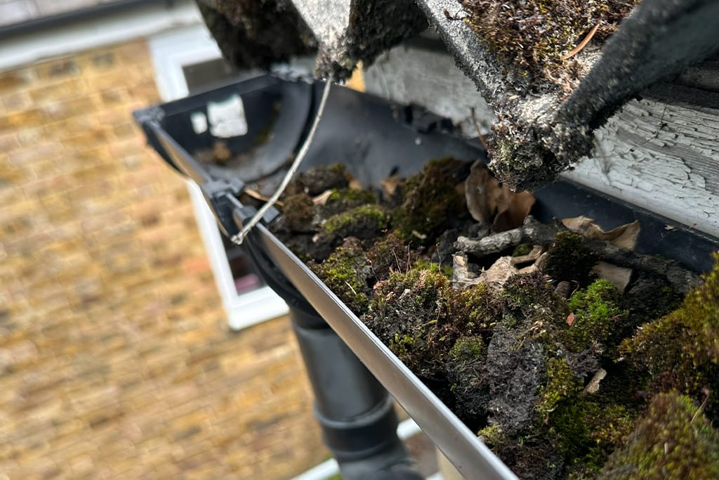 Gutter Cleaning in Westminster