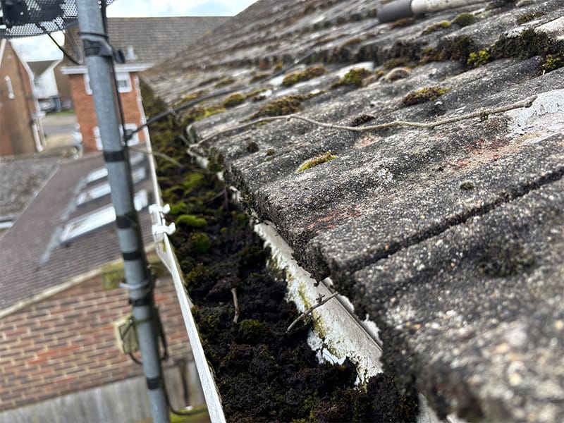 How clean gutters prevent water damage - PP Gutters team cleaning gutters on a residential home