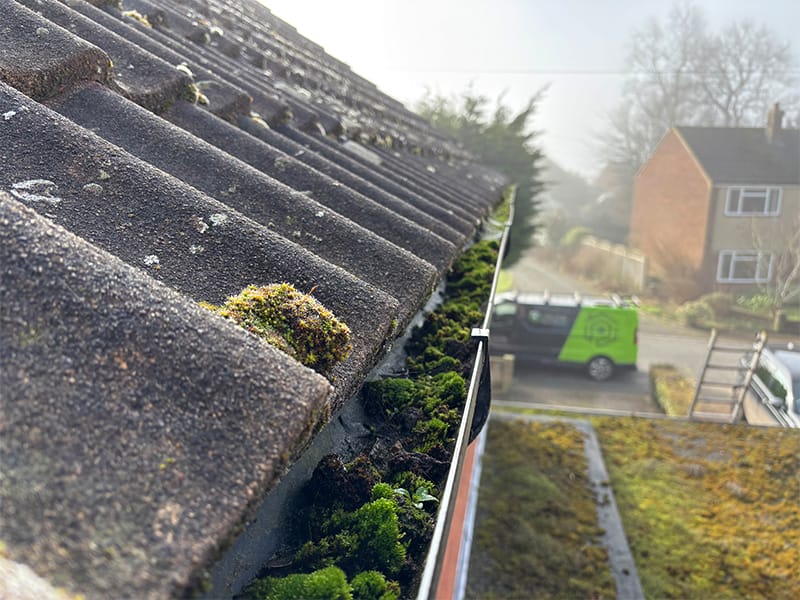 importance of clean gutters to prevent water damage