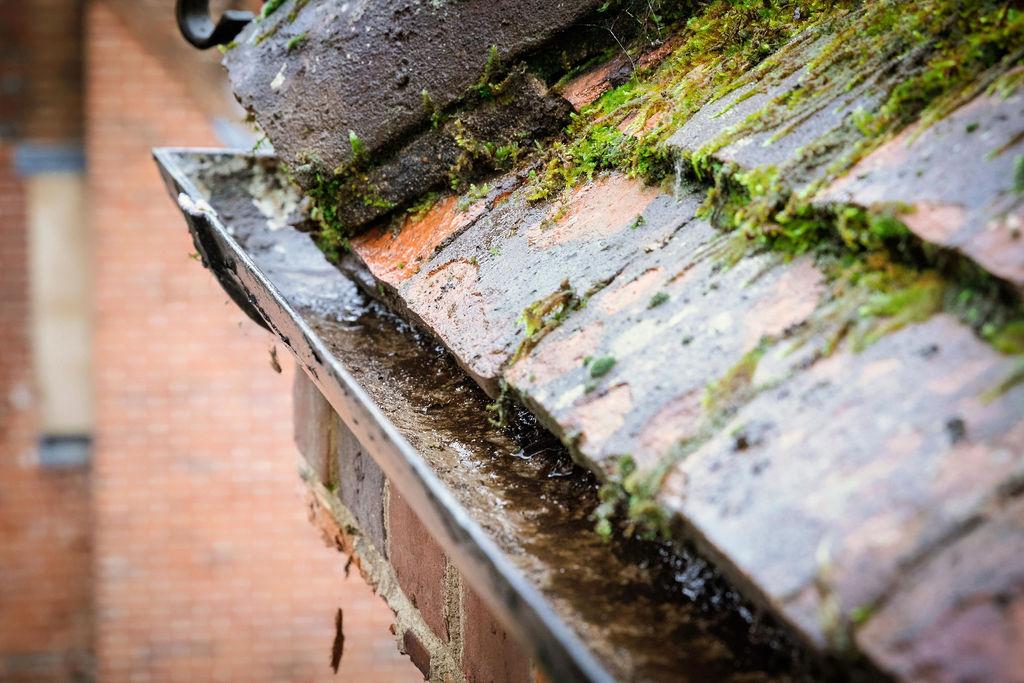 PP Gutters expert explaining how often you should clean your gutters in the UK