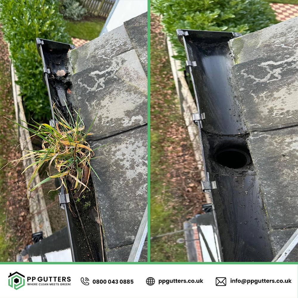 Why Choose PPGutters for Your Gutter Needs 2