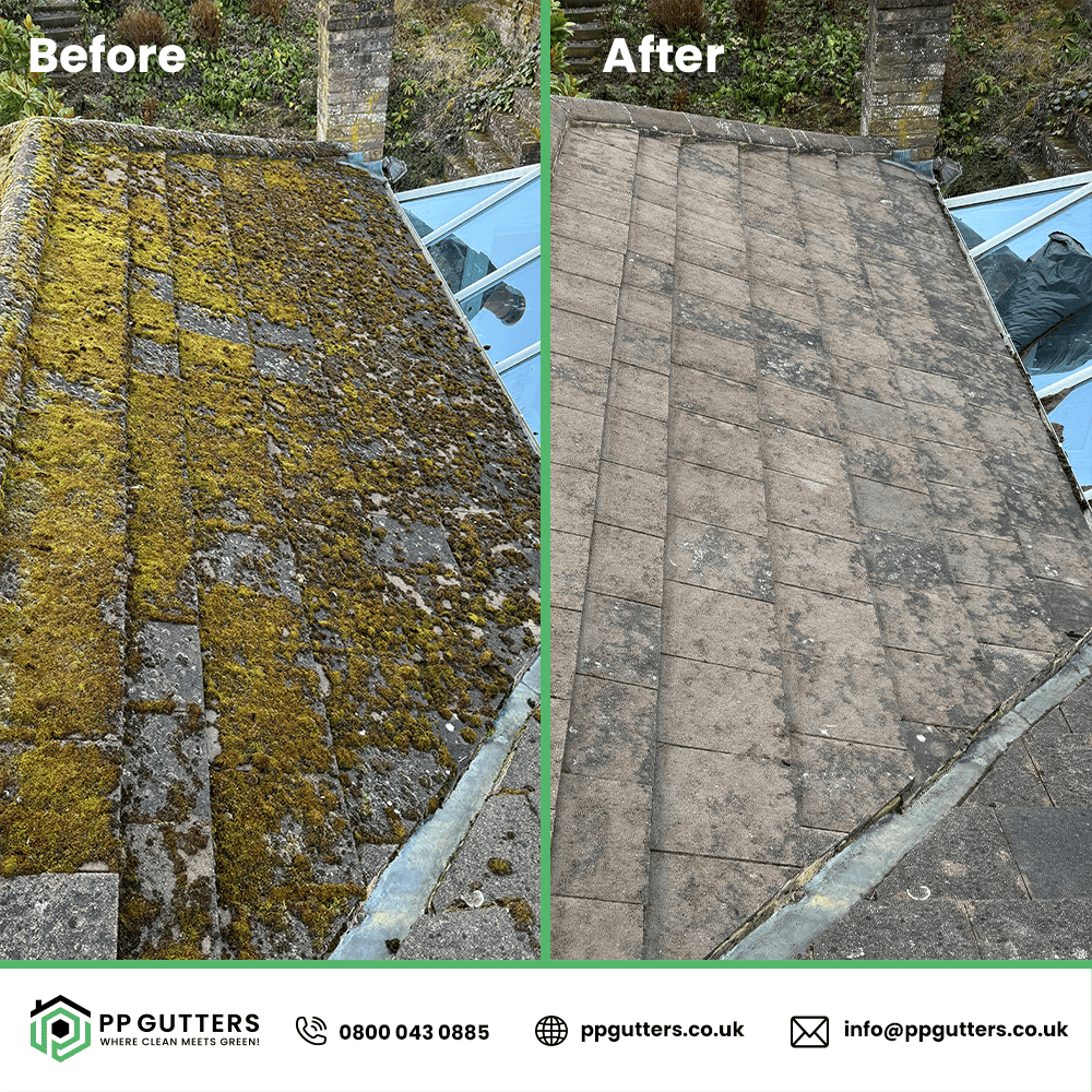 Expert Roof Cleaning London