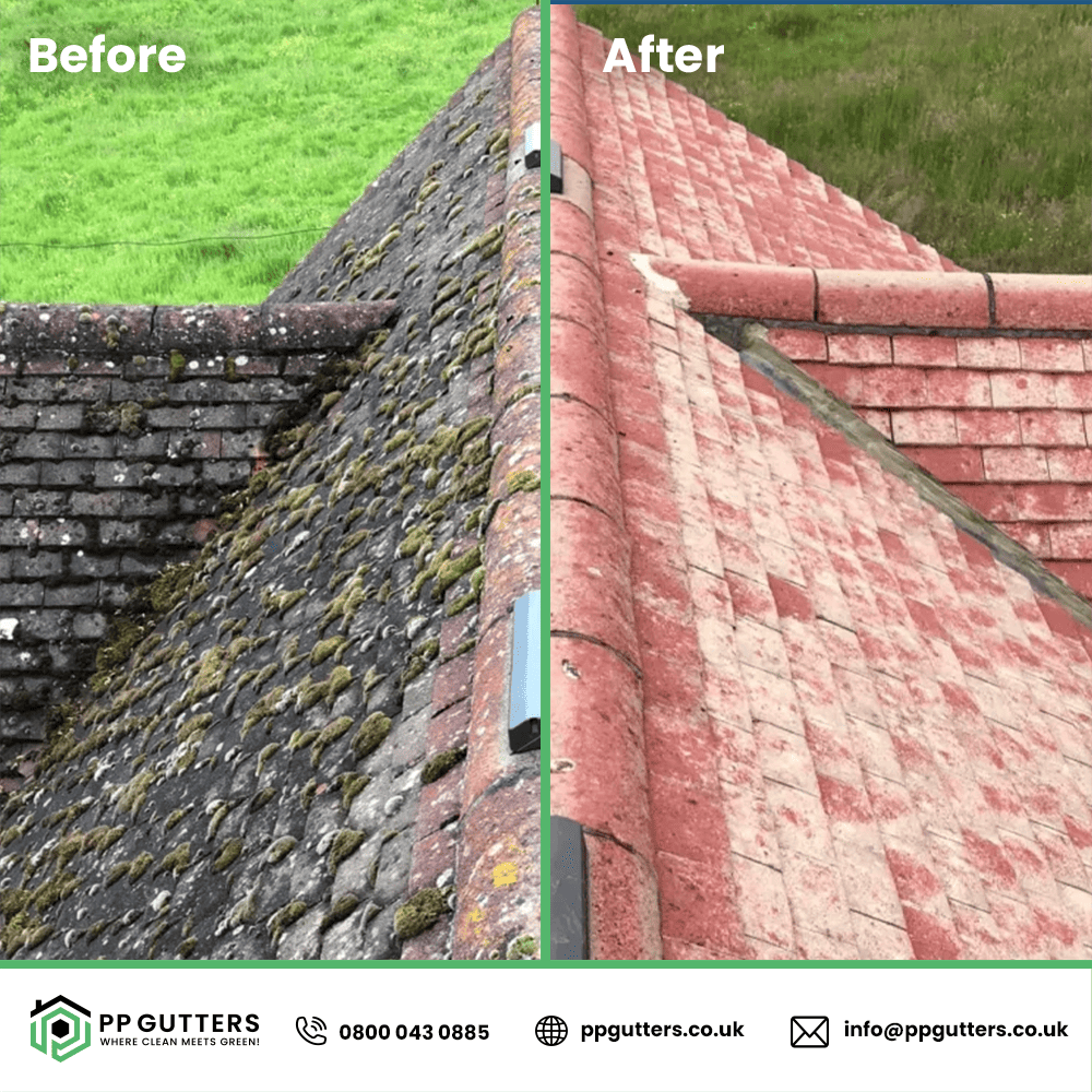 Gutter & Roof Cleaning