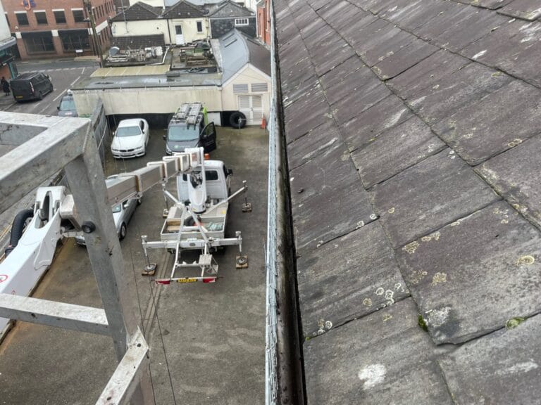 Gutter & Roof Cleaning
