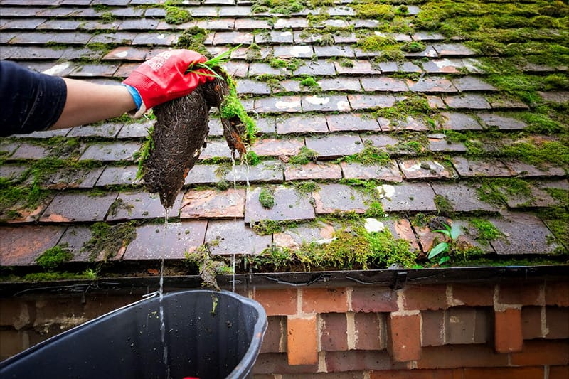 PP Gutters Protects Your Home from Gutter Blockages