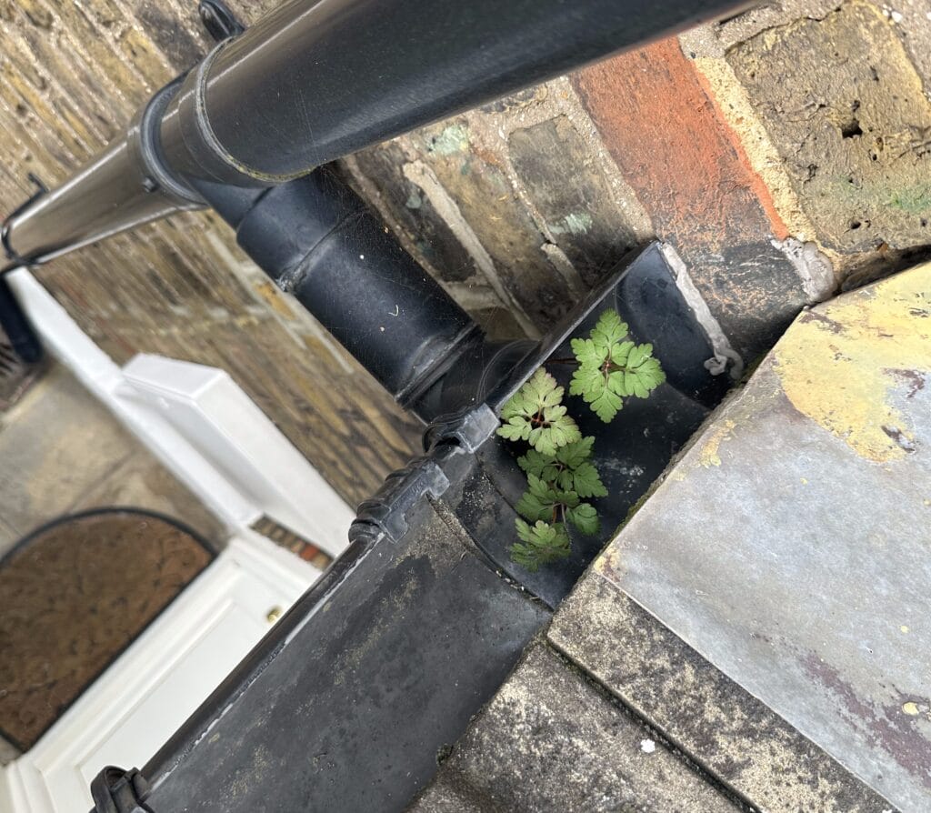 Drainpipe Cleaning