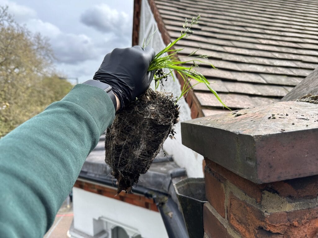 Gutter Cleaning: Top Reasons to Book Professional Services Now