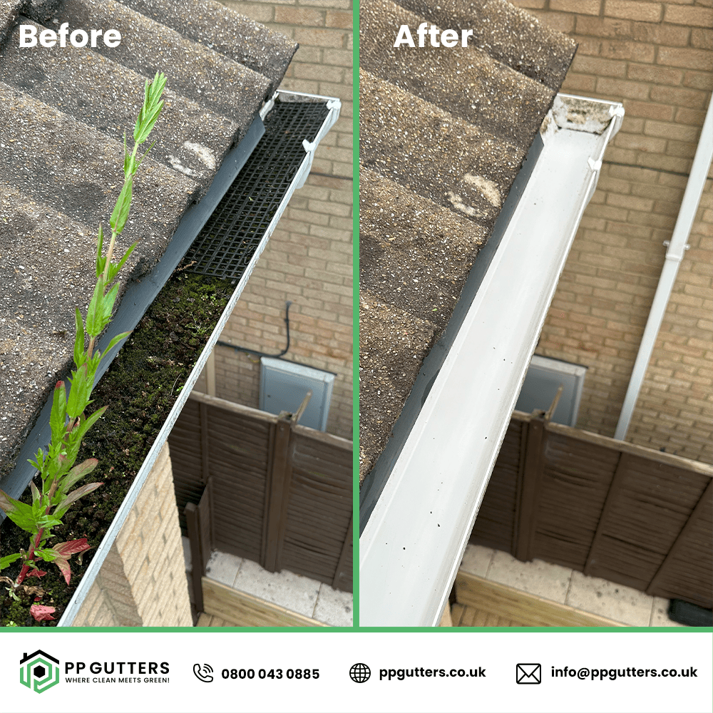gutter repairs