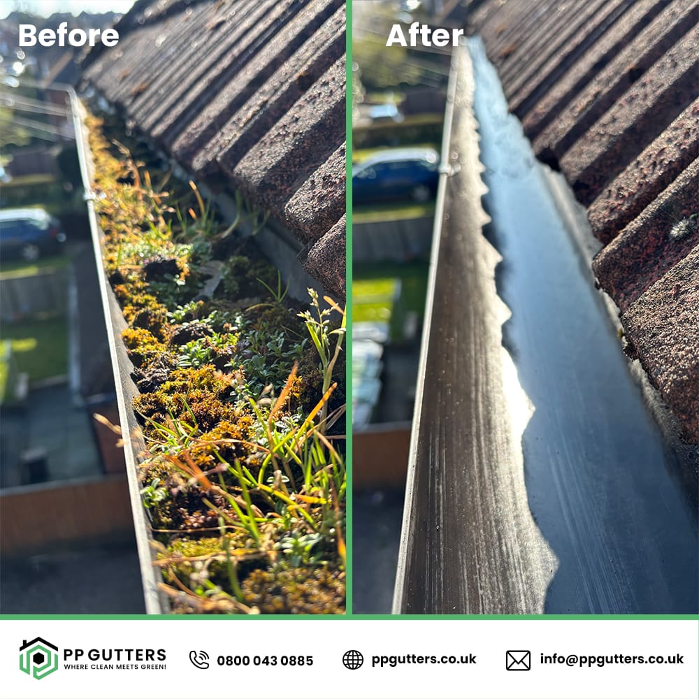 regular gutter cleaning