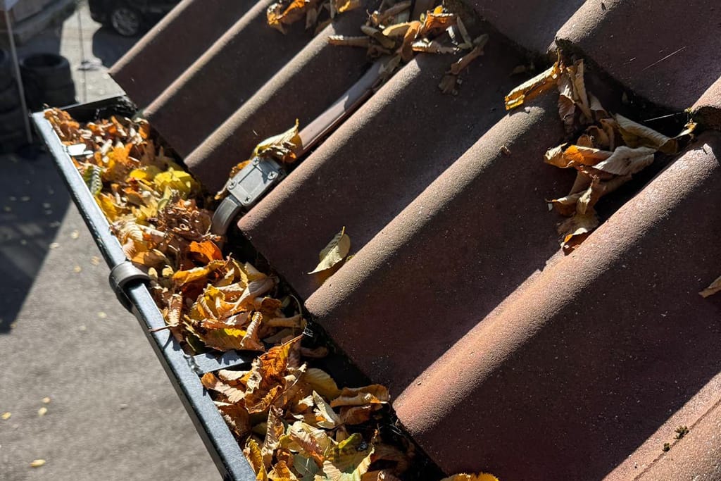 Gutter Cleaning UK Homes