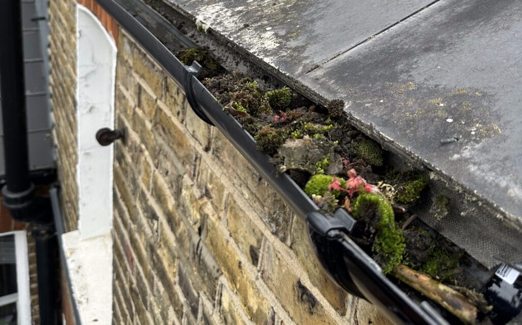 regular gutter cleaning