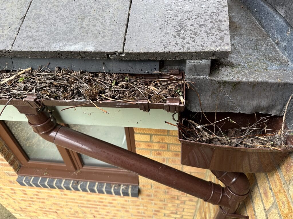 downpipe cleaning