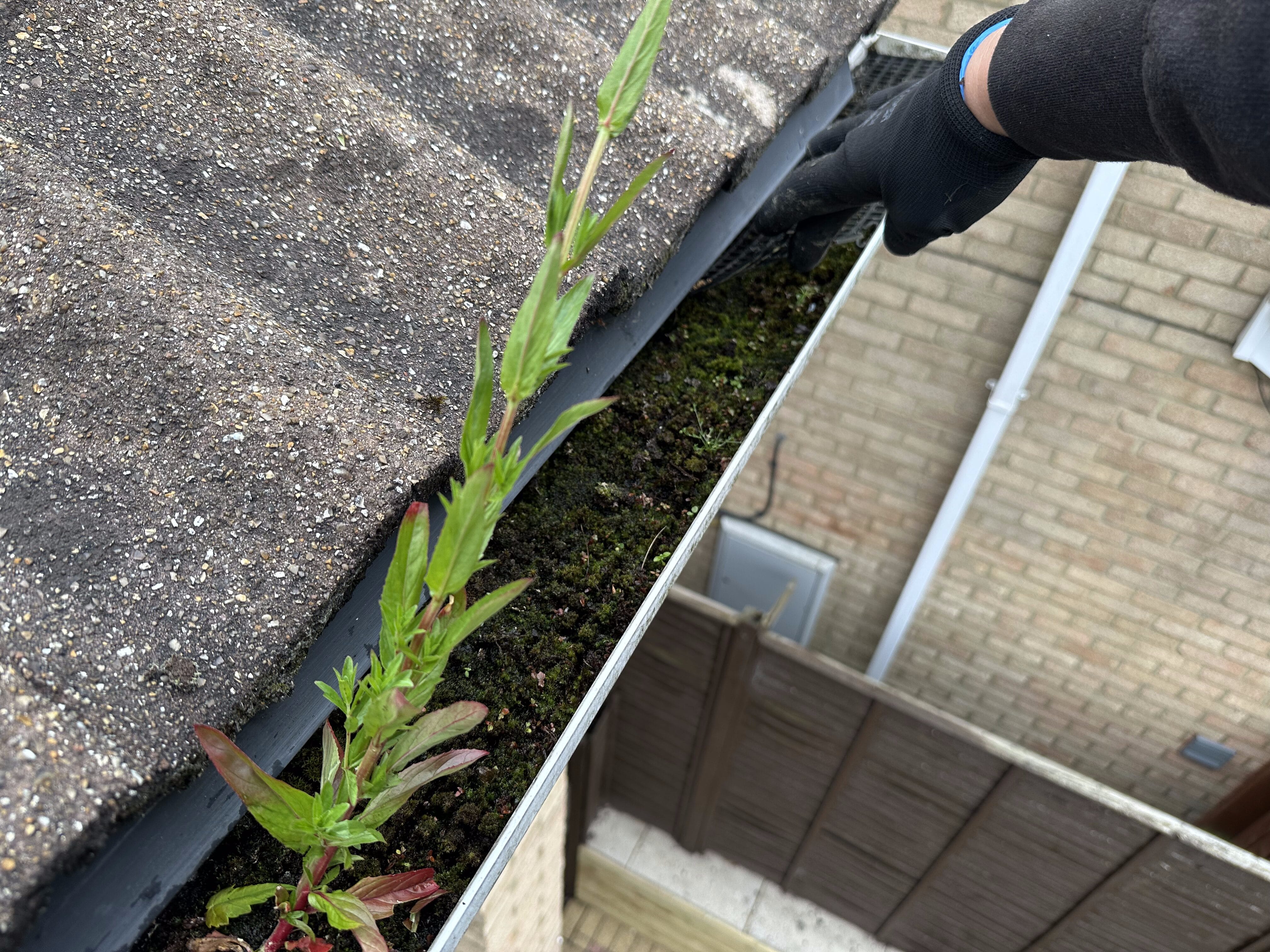 regular gutter cleaning