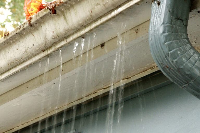 gutter leaks