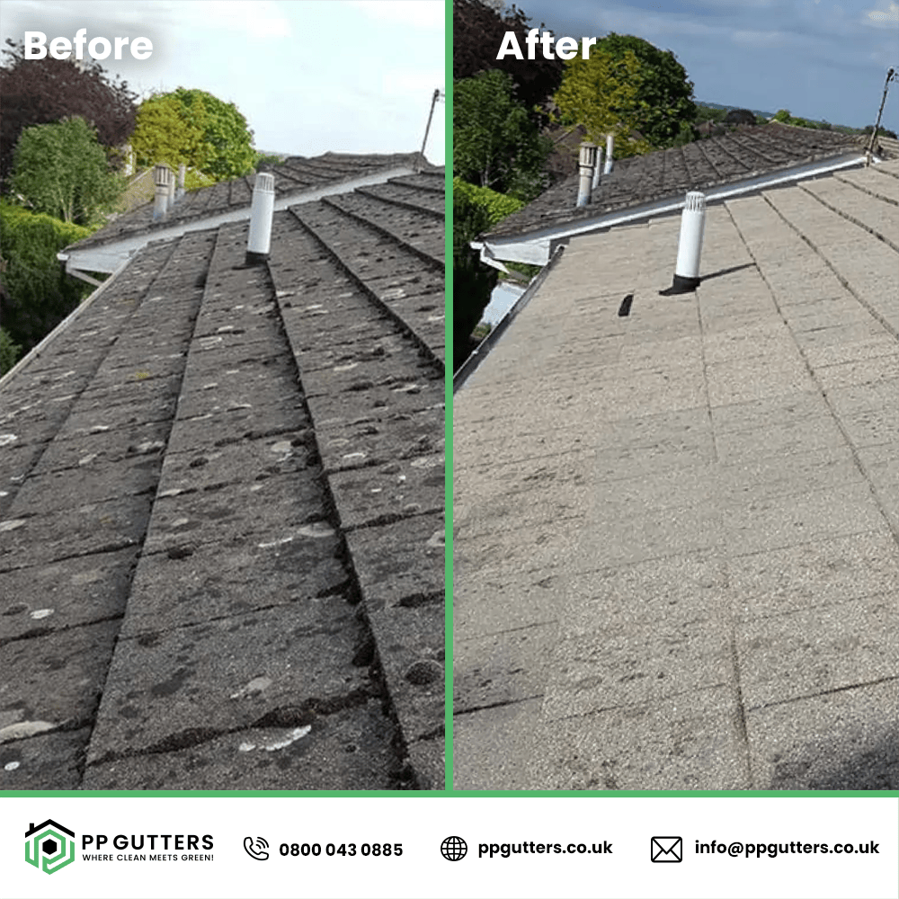 Commercial Roof Cleaning
