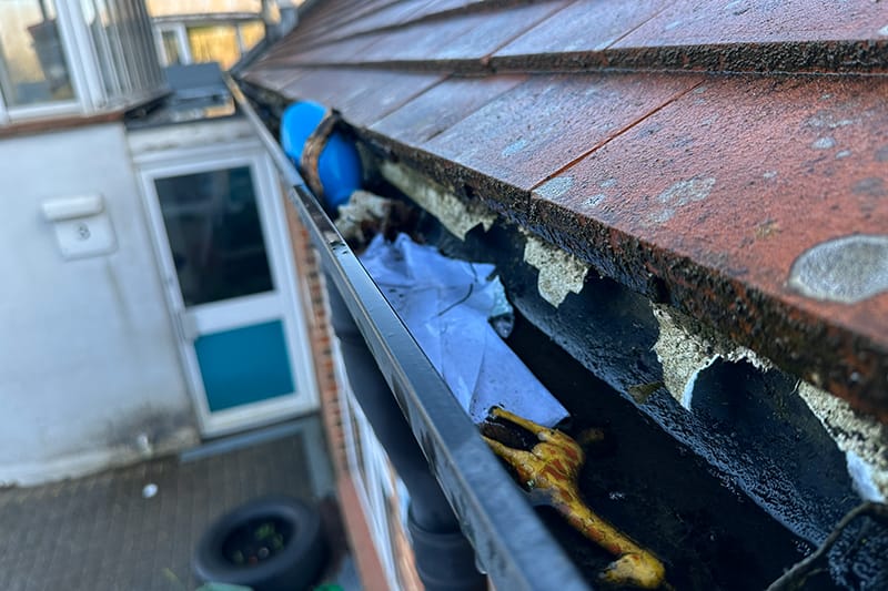 Commercial Gutter Cleaning Solutions