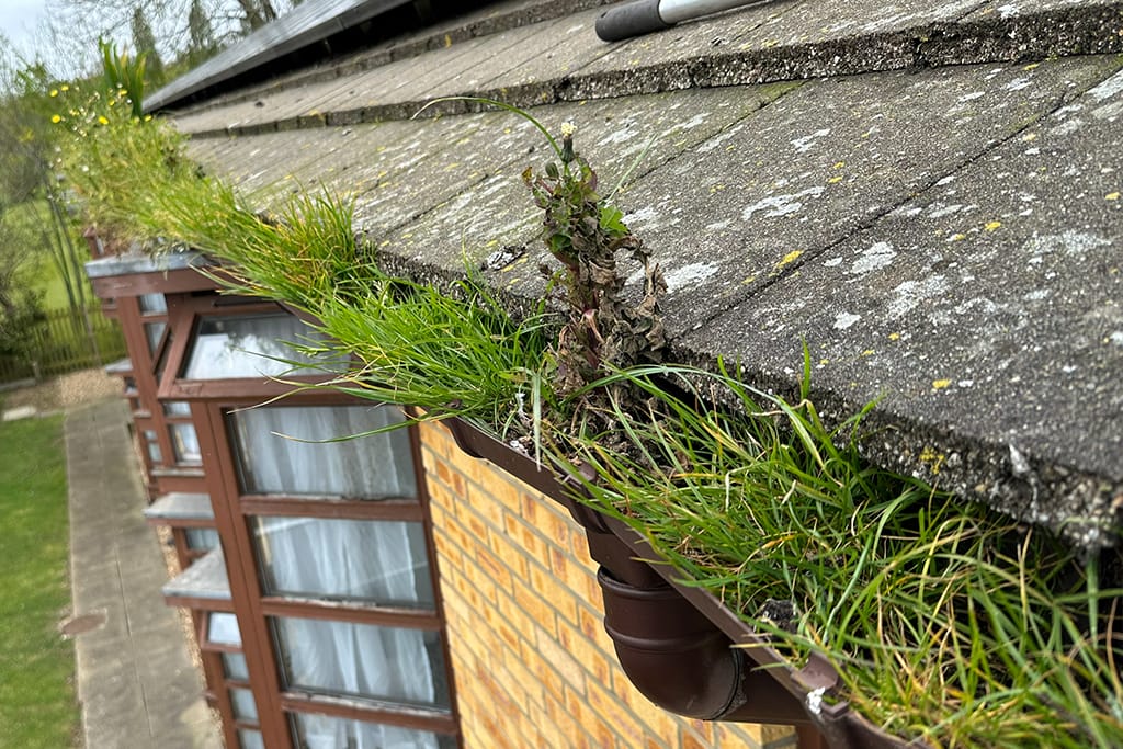 Gutter-Cleaning-in-Bushey