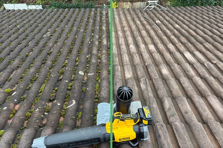Residential Roof Cleaning